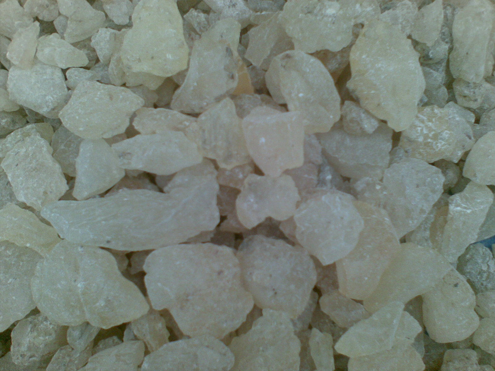 Gum Copal